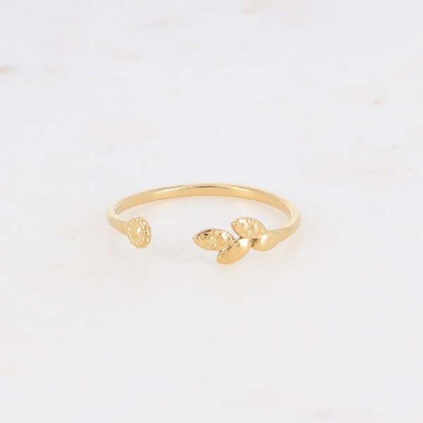 BOHM PARIS BMR10380380-DORE